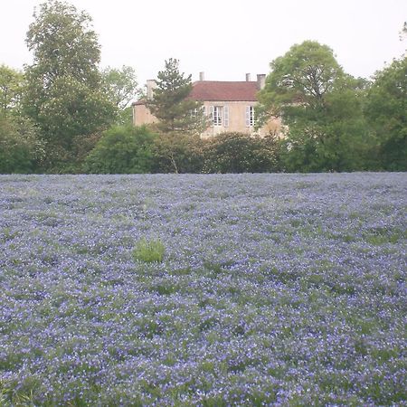 Bed and Breakfast Manoir Angle Blanzay-sur-Boutonne Esterno foto